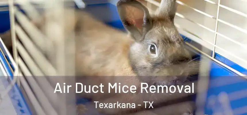  Air Duct Mice Removal Texarkana - TX