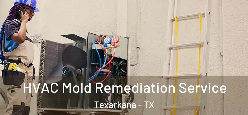  HVAC Mold Remediation Service Texarkana - TX
