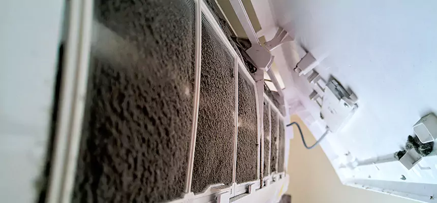 Preventive Air Duct Bacteria Removal in Texarkana