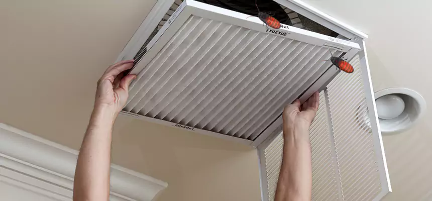 Our Insect Removal from Air Ducts Services in Texarkana, TX