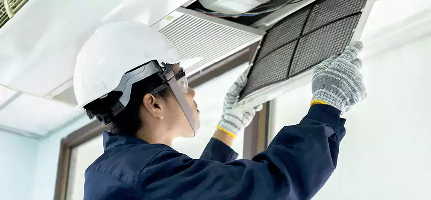 Our Mold & Mildew Removal from Air Ducts Services in Texarkana, TX