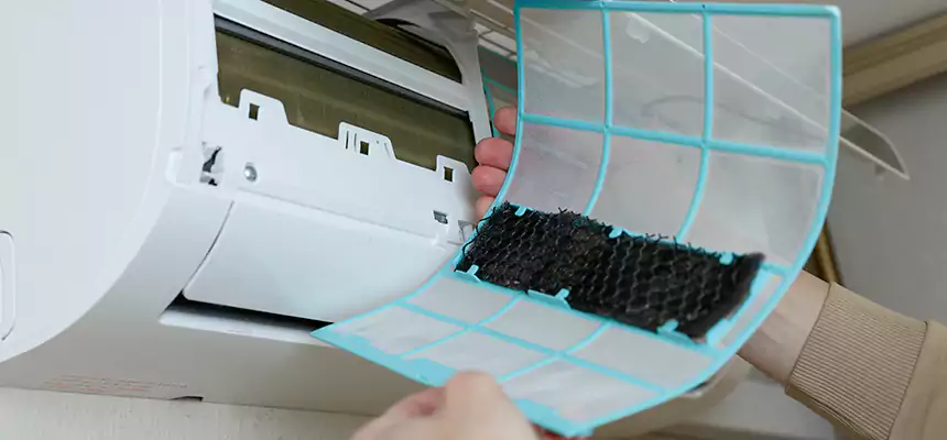 Gentle Ductwork Odor-Control Pet Dander Duct Cleaning in Texarkana, TX