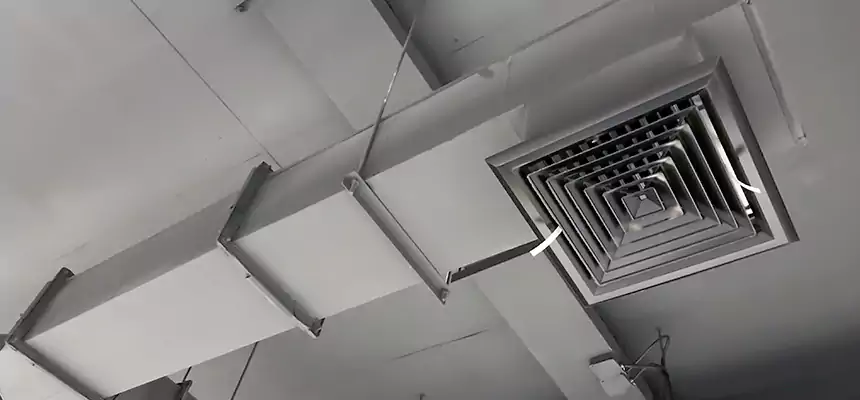 Our Rodent Droppings In Vents Services in Texarkana, TX