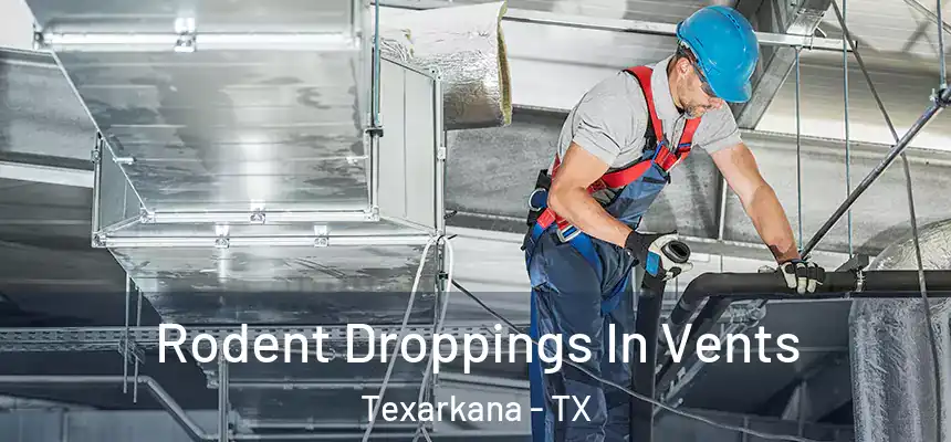  Rodent Droppings In Vents Texarkana - TX