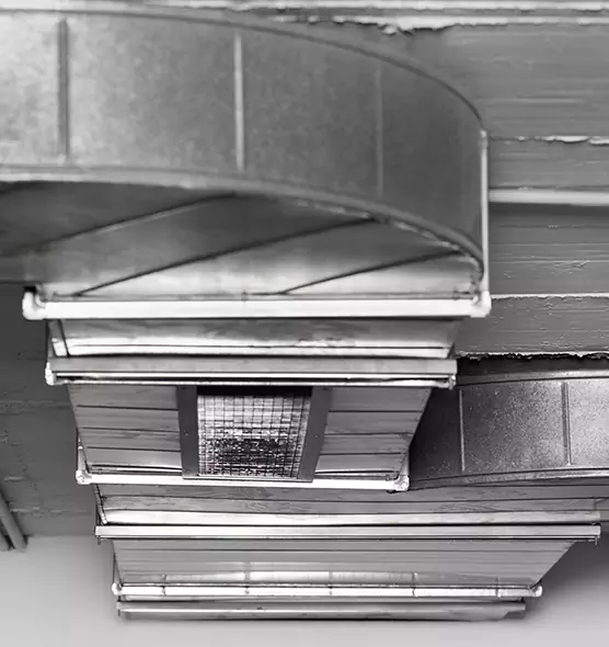 Professional Air Duct Pest Removal in Texarkana, TX