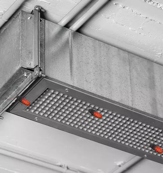 Affordable Insect Removal from Air Ducts in Texarkana, TX